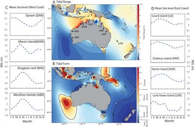 Daily timing of low tide drives seasonality in intertidal emersion mortality risk